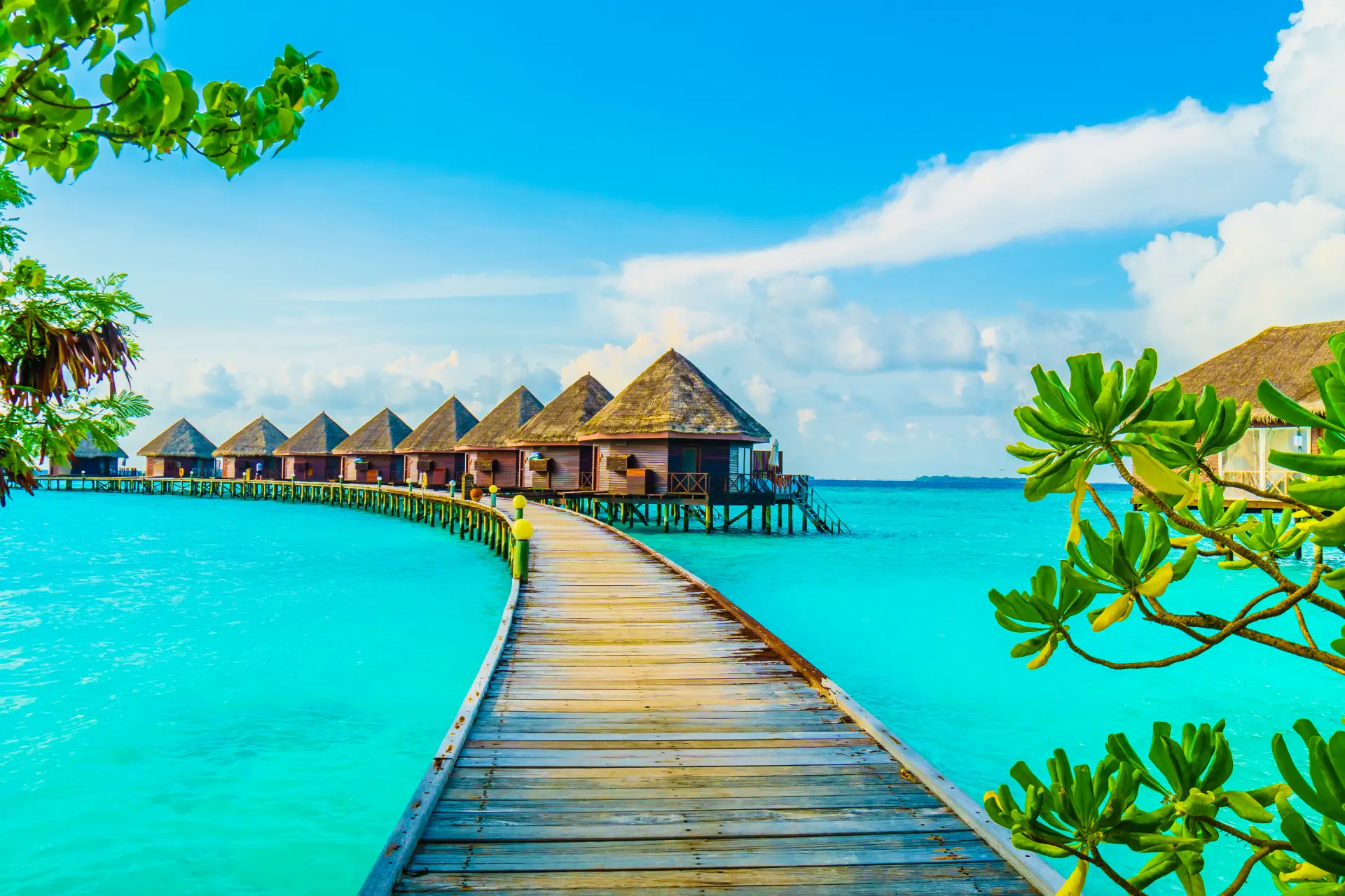 travel Agency