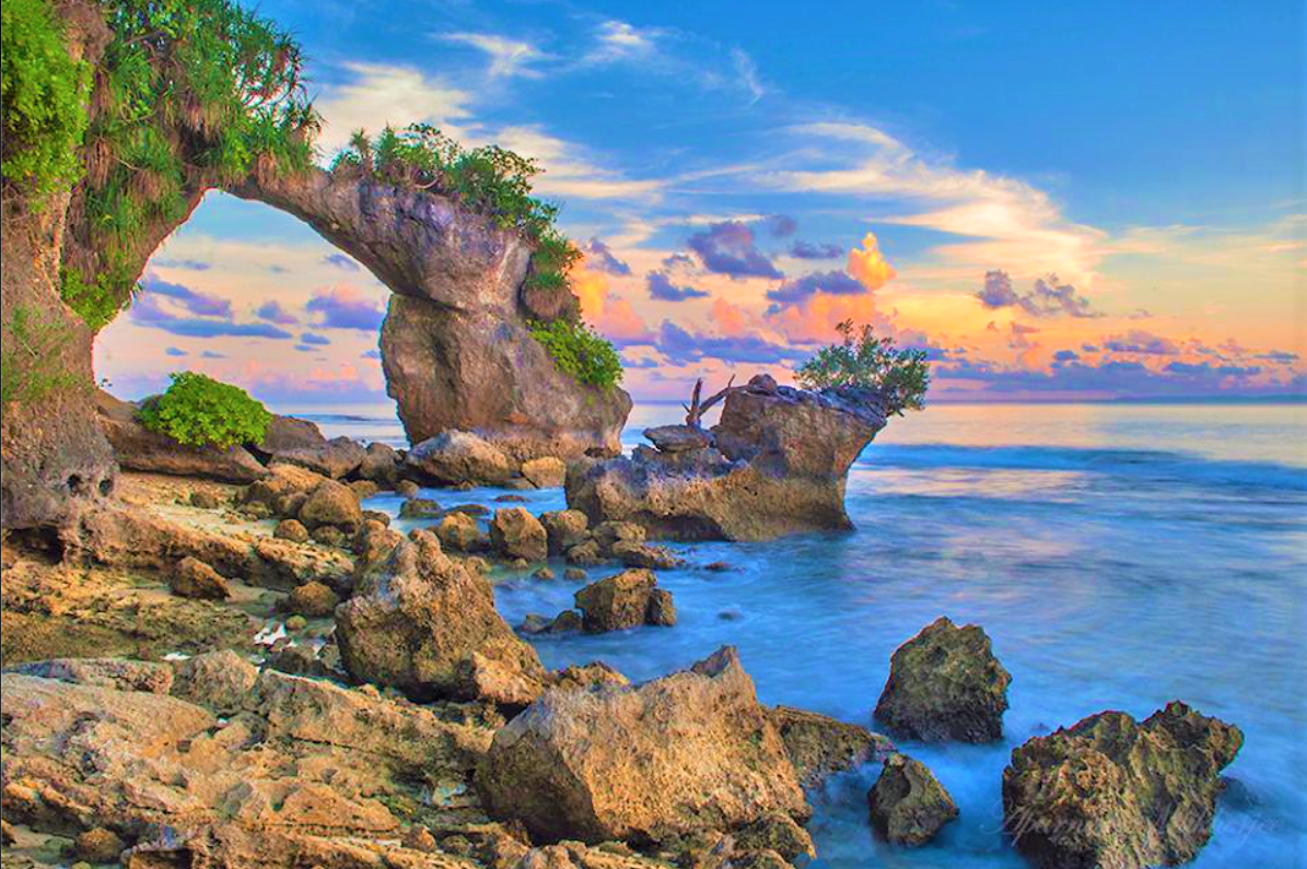 ANDAMAN EVERGREEN