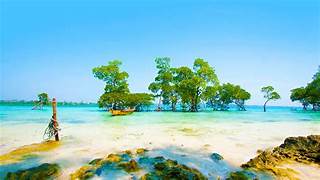 🏝️ Andaman Islands – 6 Nights / 7 Days Tour Plan