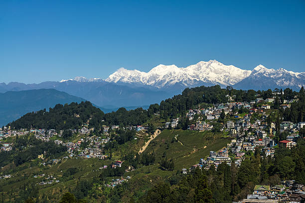 DARJEELING PEACE