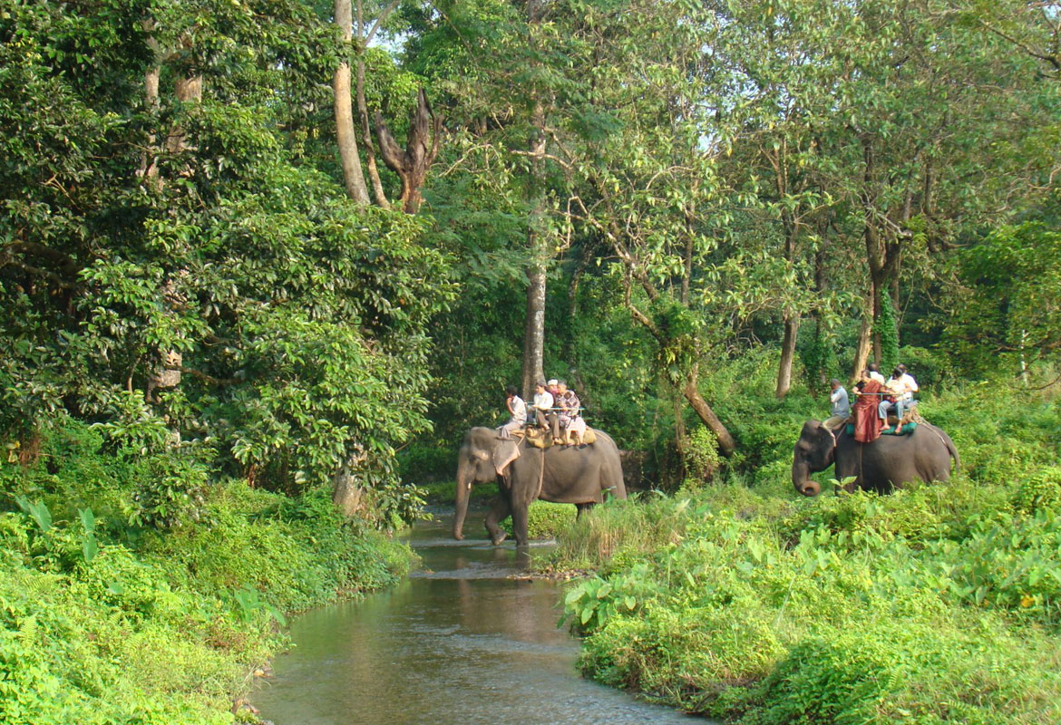 murti lataguri gorumara national park.jaldapara national park.chilapata