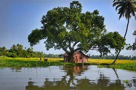 7 Nights / 8 Days Kerala Tour